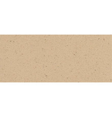 1102 Шампань granite
